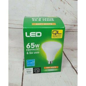 Quality Light Source LED 65 Watt Energy Star Soft White Dimmable Light Bulb